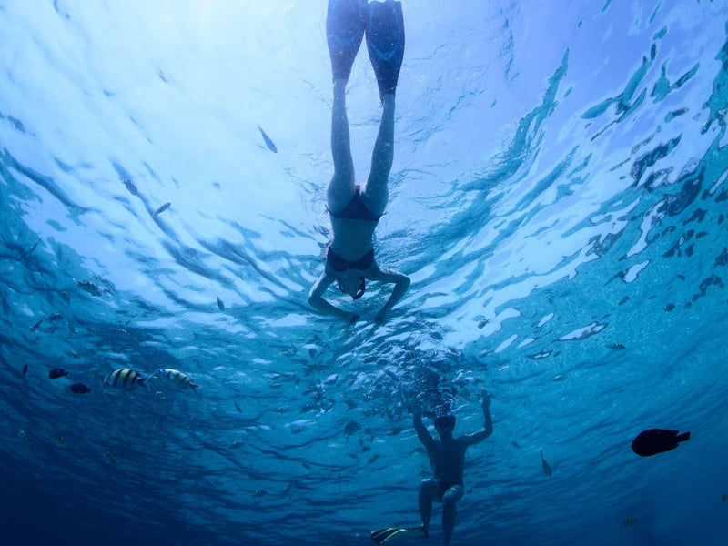 Nicaragua snorkeling