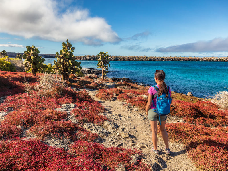 North Seymour Galapagos Ecuador