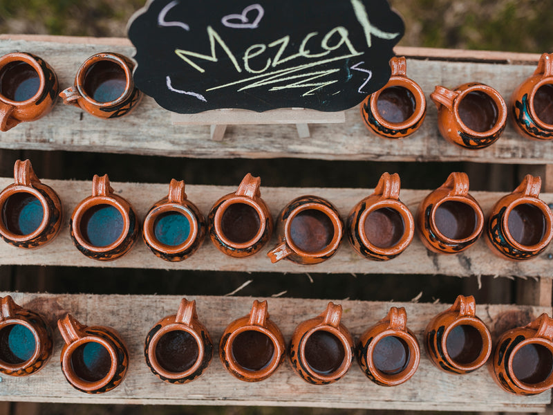 Oaxaca mezcal tasting Mexico