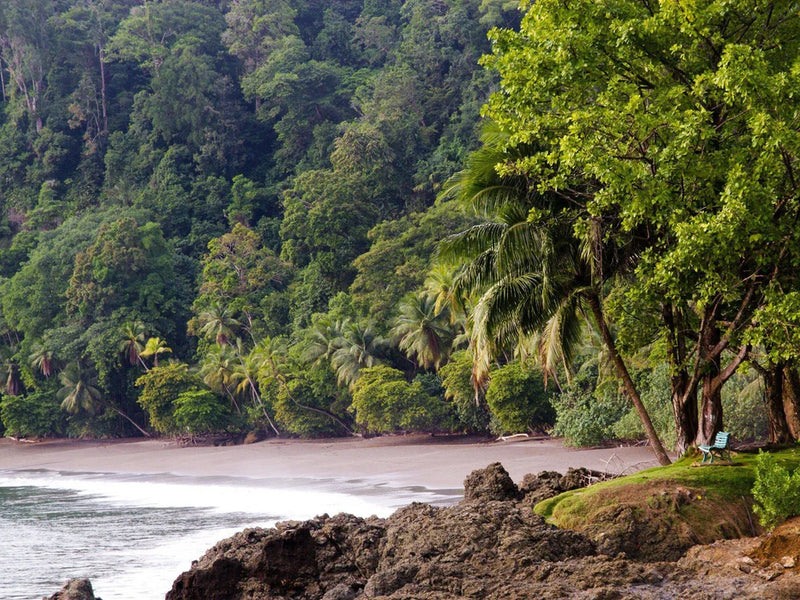 Beach with rocky outcrop and lush green forest in the background; Cabo Matapalo, Osa Peninsula, Costa RIca