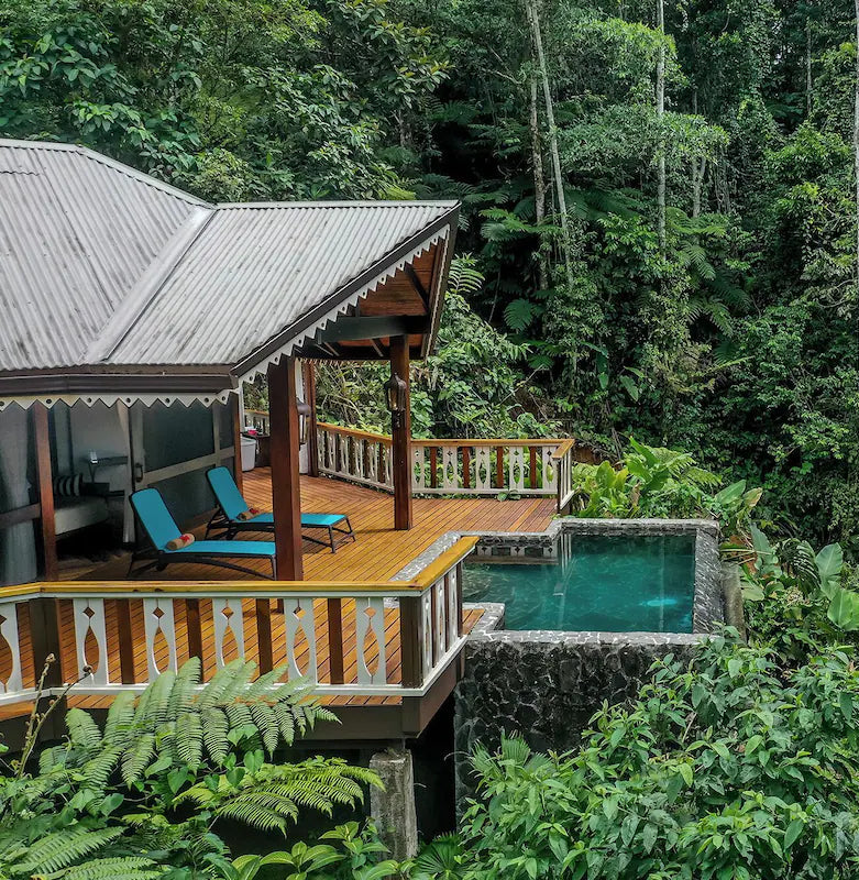 Hut with a swimming pool surrounded by dense green forest