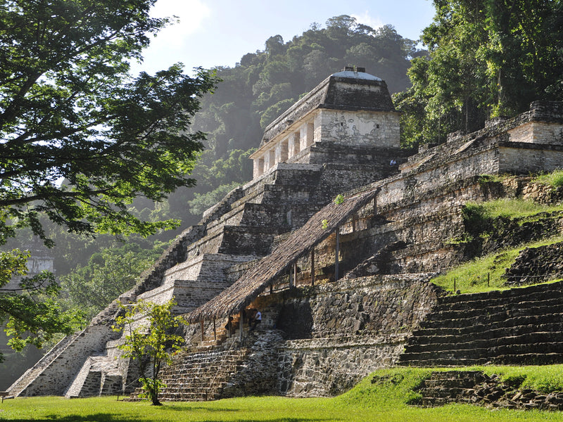 Ancient pyramid in a lush green forest Palenque Mayan ruins Mexico