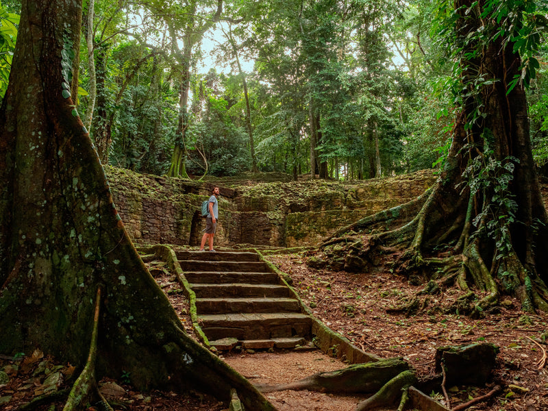 Person exploring ancient ruins in a lush green forest. Palenque, Mexico.
