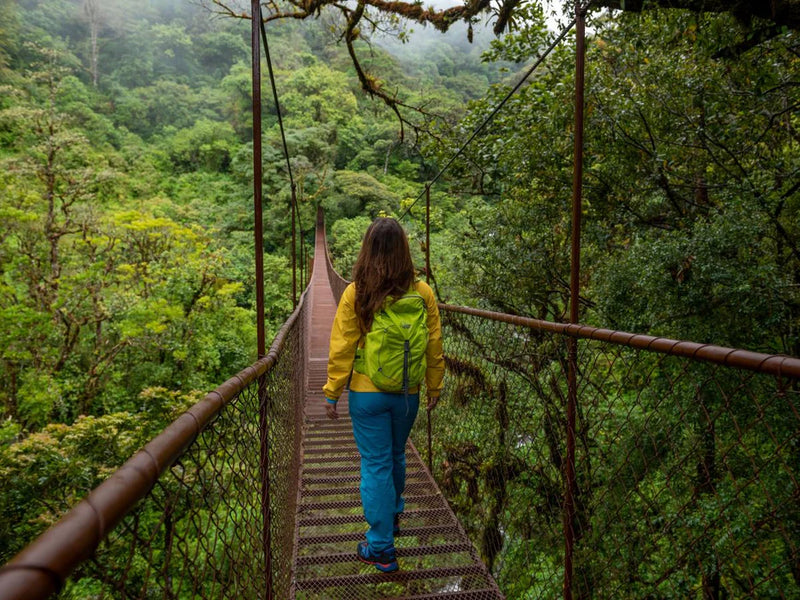 Panama Boquete hanging bridges