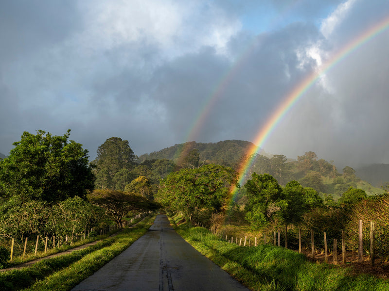 Panama Boquete rainbow