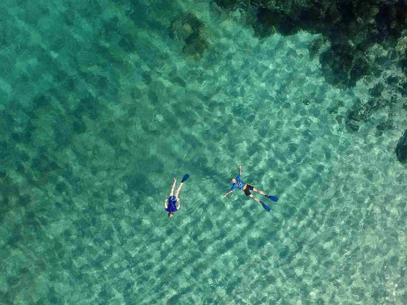 Panama Coiba snorkeling