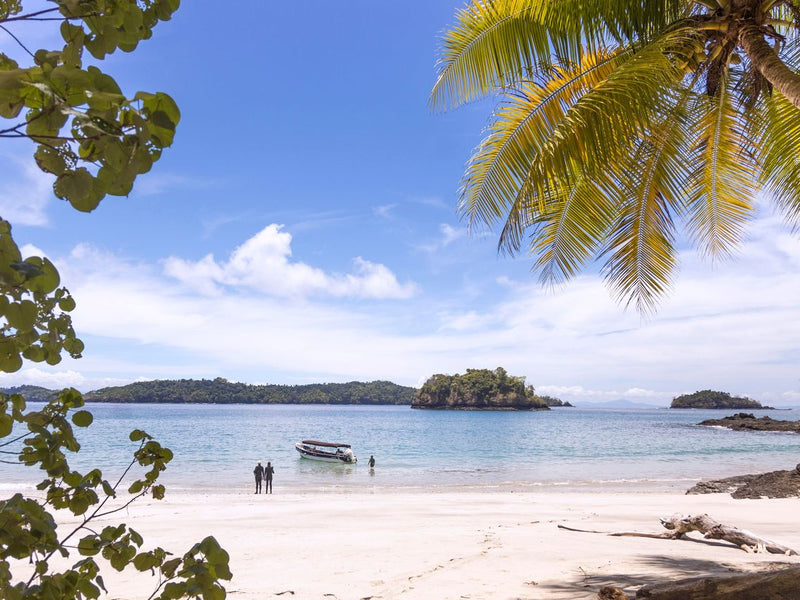 Panama Isla Palenque beach landing