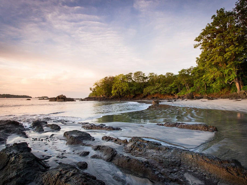 Panama Isla Palenque beach tide pools