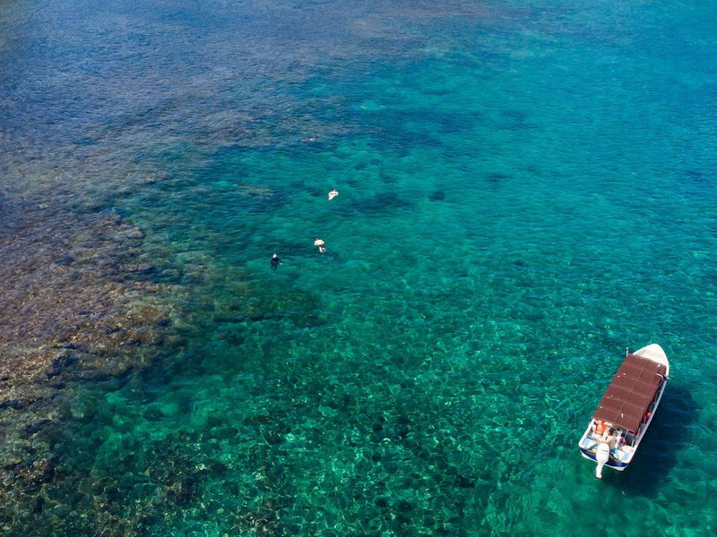 Panama Isla Palenque snorkeling