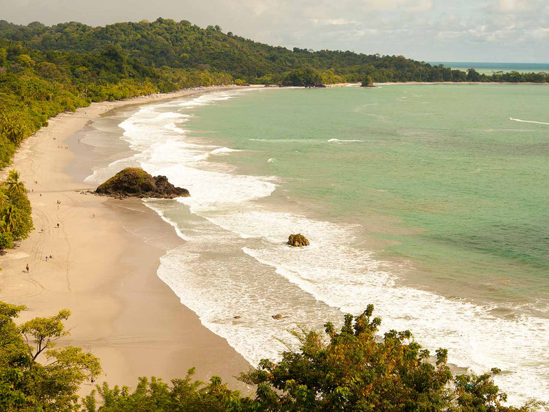 Beach with green water and trees on a cloudy day; Playitas Beach, Arenas del Mar, Manuel Antonio, Costa Rica