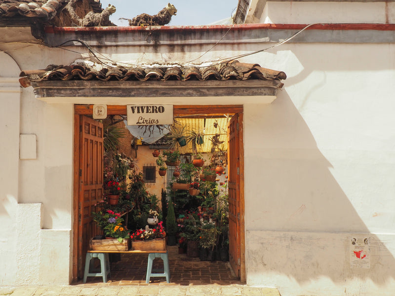 San Cristobal de las Casas facade