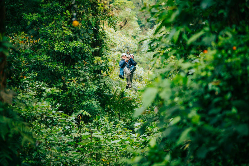 Two people on a zip line through a dense forest; Monteverde Costa Rica cloud forest