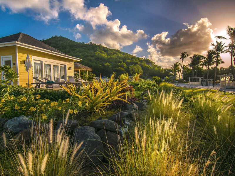 The Liming Grenadines garden