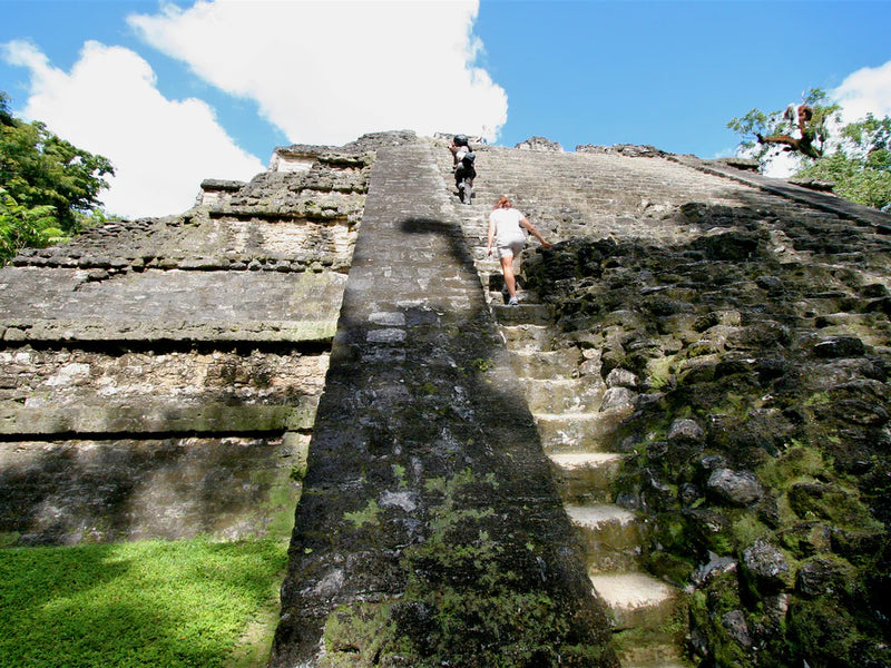 Person climbing a ancient temple staircase at Tikal National Park, Peten, Guatemala