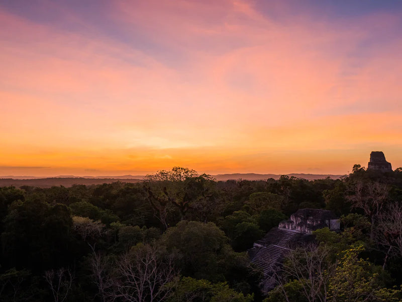Sunset over a jungle landscape with a temple in the distance, TIkal, Flores, Peten, Guatemala