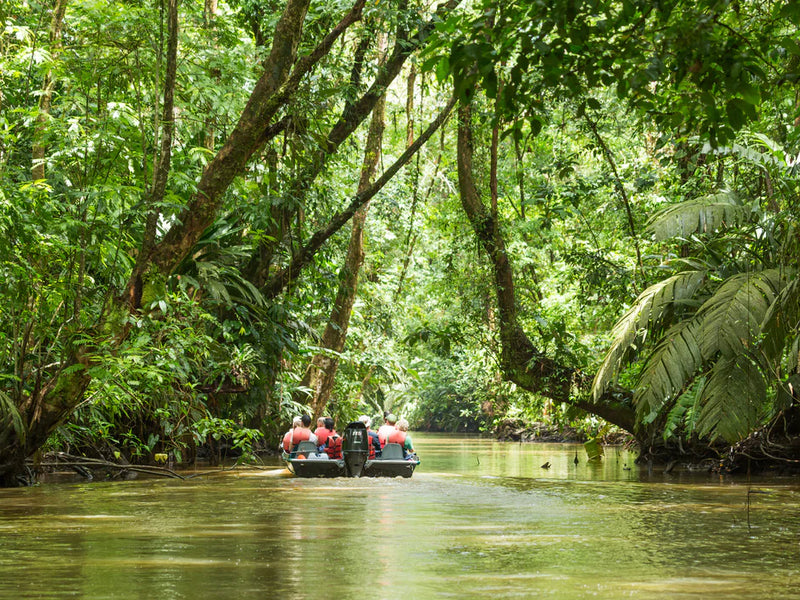 Two boats navigating a river through a dense tropical forest. Tortuguero, Costa Rica.