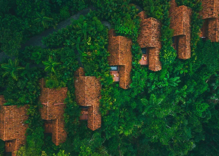 Amor Arenal, La Fortuna aerial