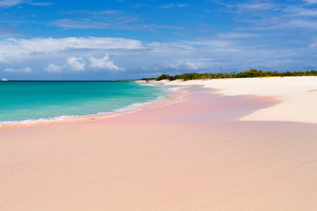 Antigua pink beach