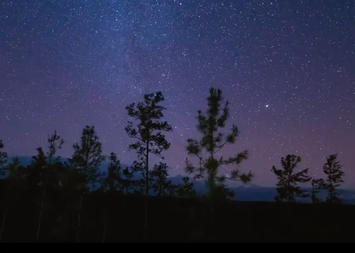 Belize Hidden Valley night sky