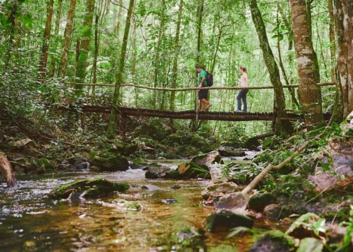 Belize Hidden Valley trail