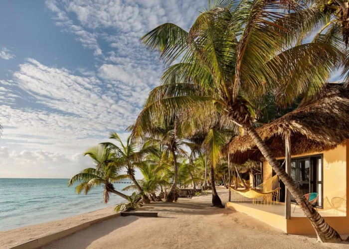 Belize Matachica front