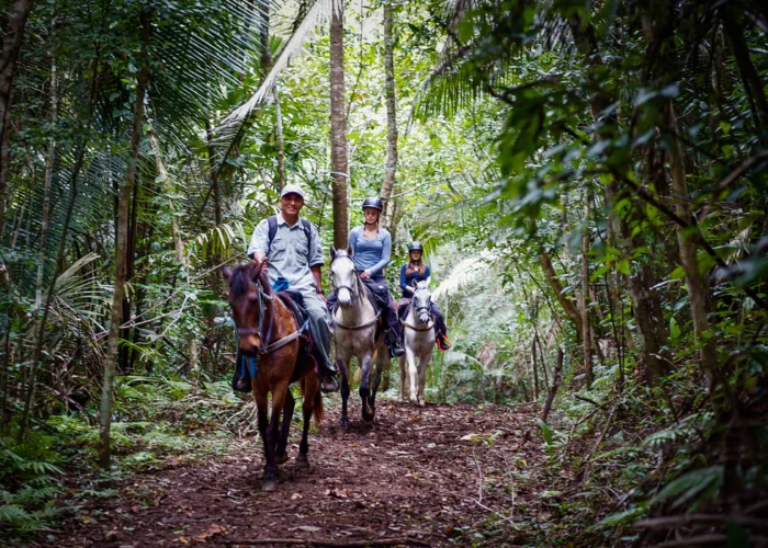 Belize horseback
