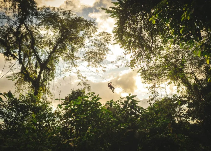 Costa Rica zip lining sunset