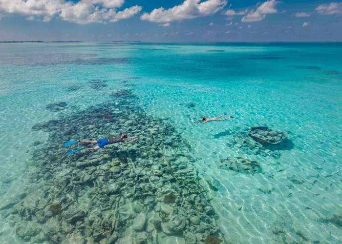 Dominican Republic couple snorkeling