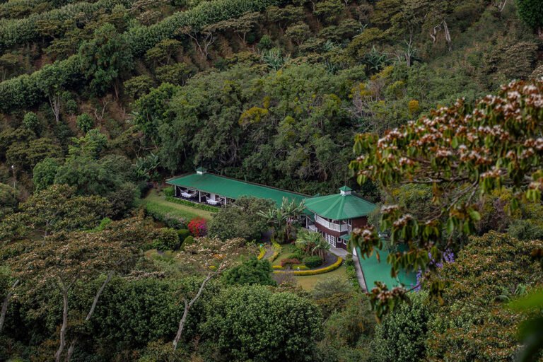 Finca Lerida Boquete