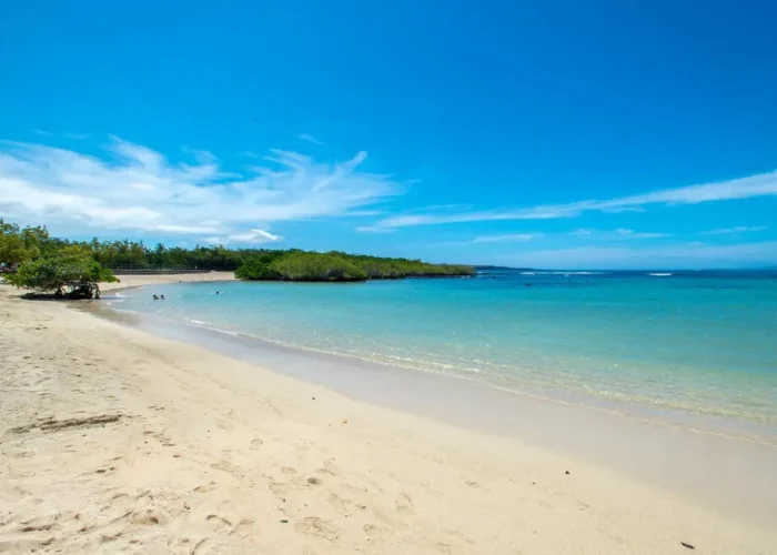 Galapagos Finch Bay ocean