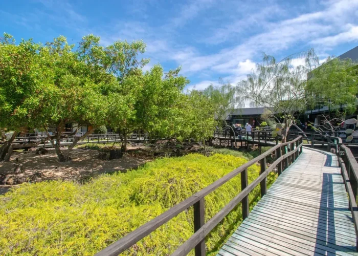 Galapagos Finch Bay walkway