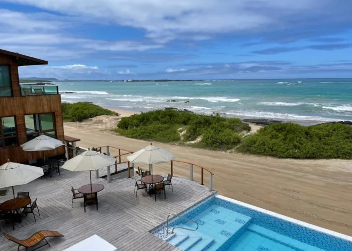 Galapagos Iguana Crossing pool
