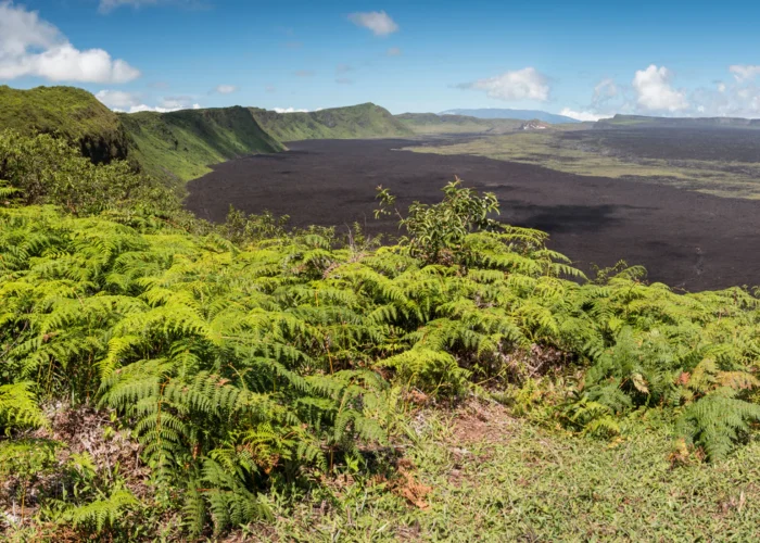 Galapagos Isabela volcanic