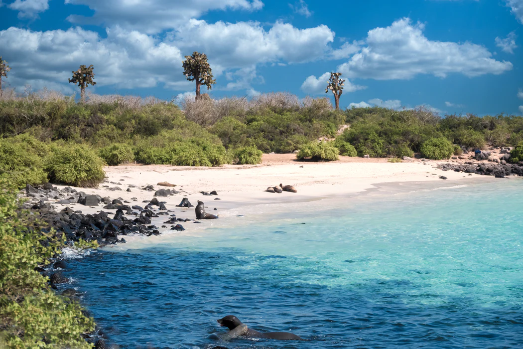 Galapagos beach