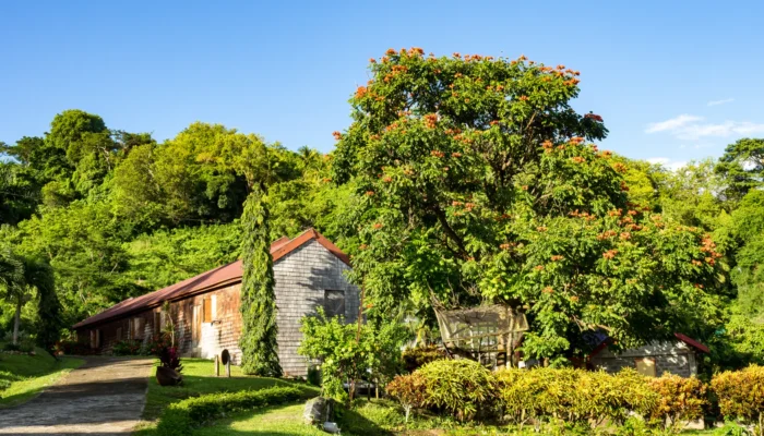 Grenada Belmont Estate