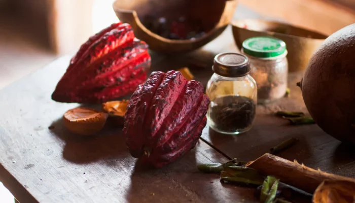 Grenada chocolate tour