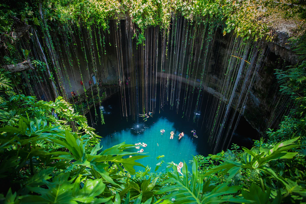 Mexico Tulum cenote looking down with vines hanging