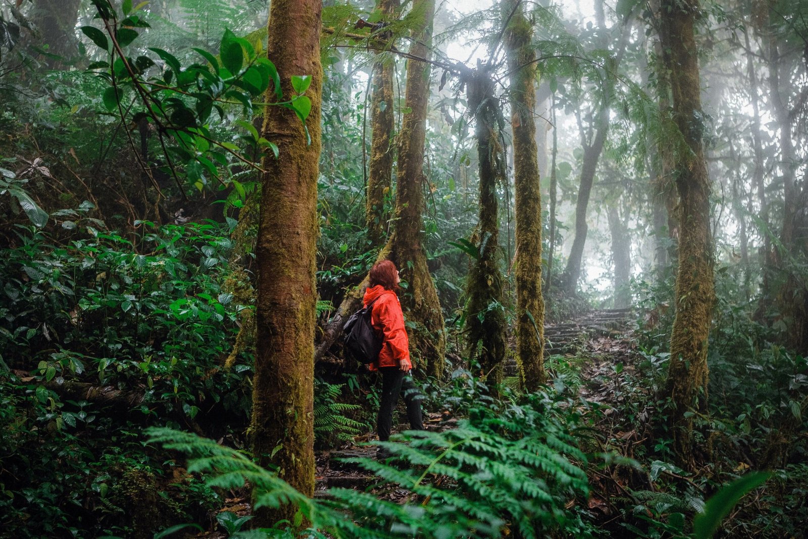 Monteverde cloud forest hike Costa Rica