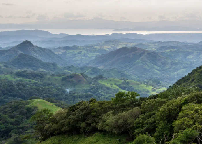 Monteverde hills