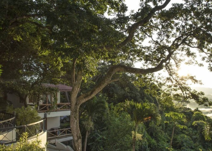 Nosara Tierra Magnifica treehouse vibe