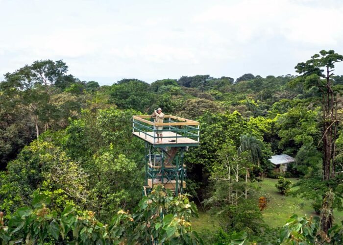 Panama Bocas Tranquilo Bay restaurant