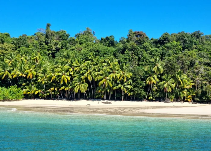 Panama Bocas del Toro beach