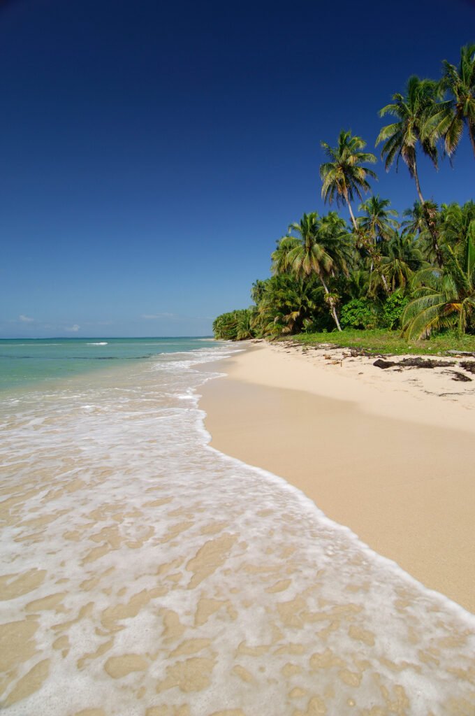 Desert tropical beach. Zapatilla island, Bocas del Toro, Panama
