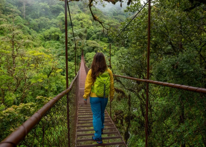 Panama Boquete hanging bridges