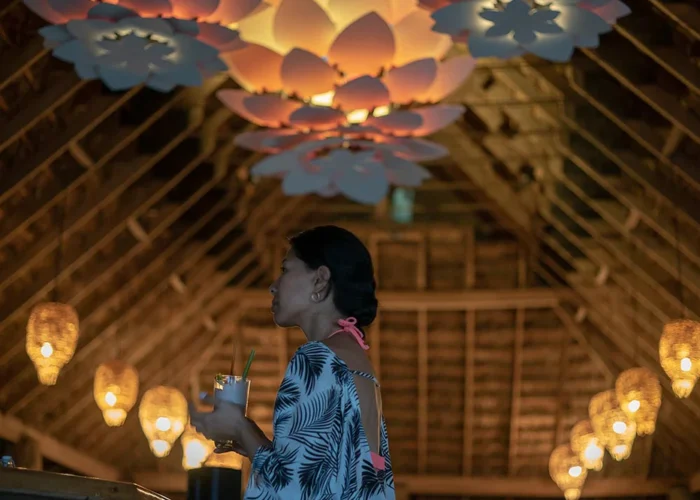 Panama Isla Palenque beach palapa