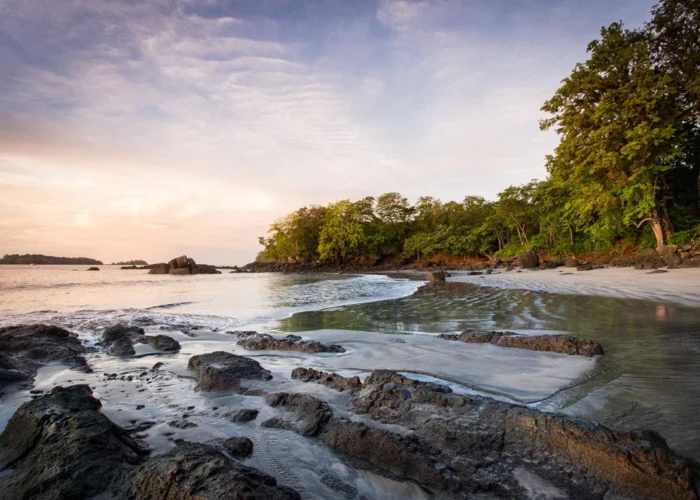 Panama Isla Palenque beach tide pools