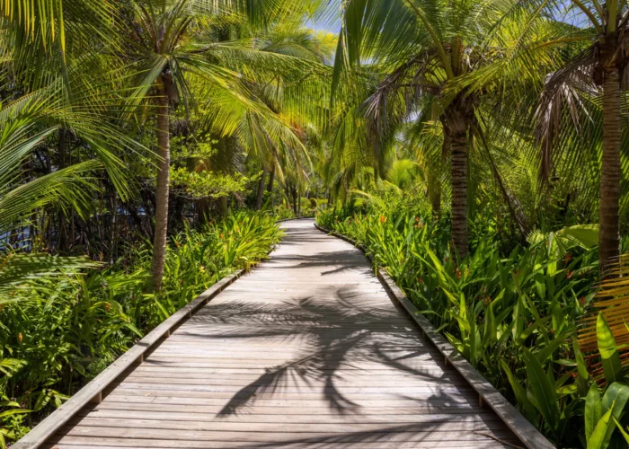 Panama Nayara Bocas walkway