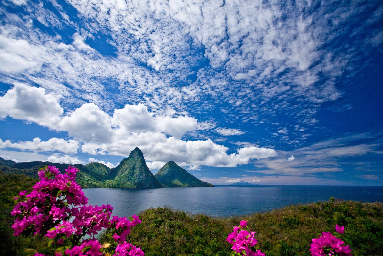 St Lucia pitons in the distance with bouganvillea