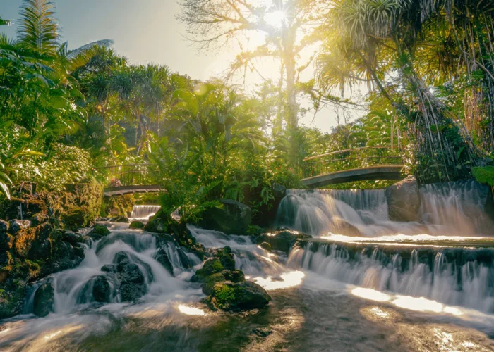 Tabacon hot springs pool