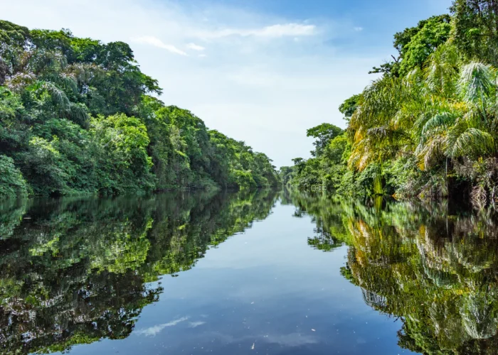 Tortuguero canals clear Costa Rica